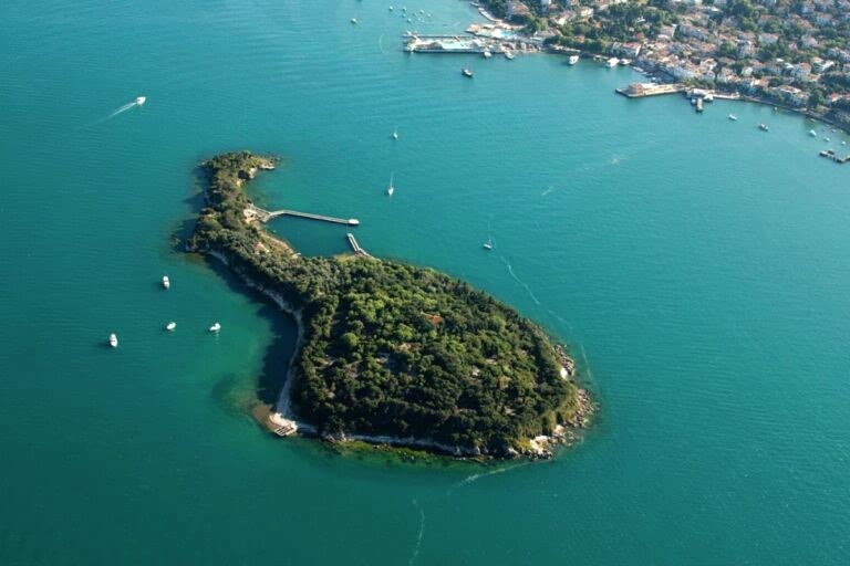 Istanbul Swimming Tour on Private Yacht