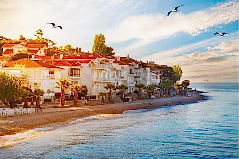 Istanbul Swimming Tour - Islands or Bosphorus - İstanbul Yüzme Turu - Adalar veya Boğaz