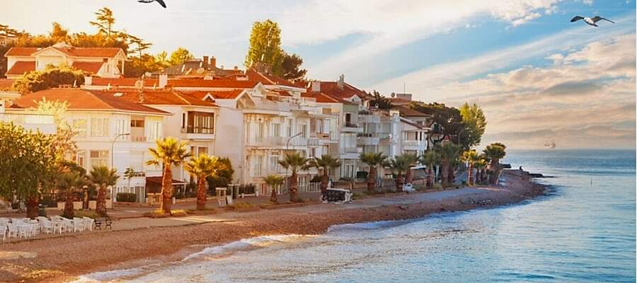 Istanbul Swimming Tour - Islands or Bosphorus - İstanbul Yüzme Turu - Adalar veya Boğaz