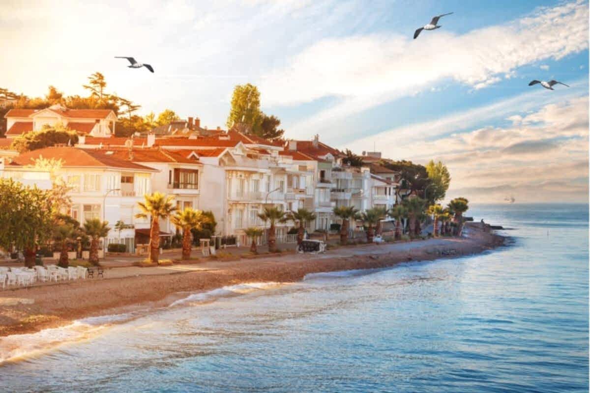 Istanbul Swimming Tour - Islands or Bosphorus - İstanbul Yüzme Turu - Adalar veya Boğaz